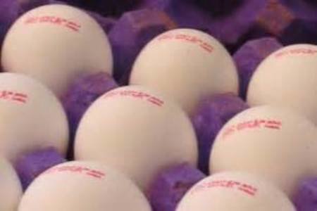 آغاز توزیع تخم مرغ وارداتی در آذربایجان شرقی