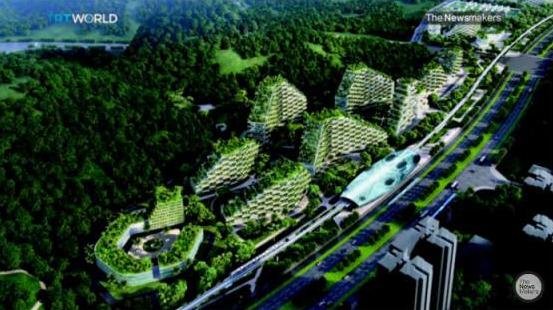 گیاهان شهری هوای پکن را تصفیه می کنند