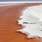 کاهش ۲۶ سانتیمتری سطح تراز دریاچه ارومیه نسبت به سال گذشته