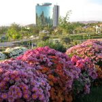 یادداشت/ نرم نرمک بهار گردشگری تبریز می ر سد