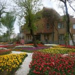 ستاد ساماندهی تبلیغات و فضای سبز شهری در تبریز راه اندازی میشود