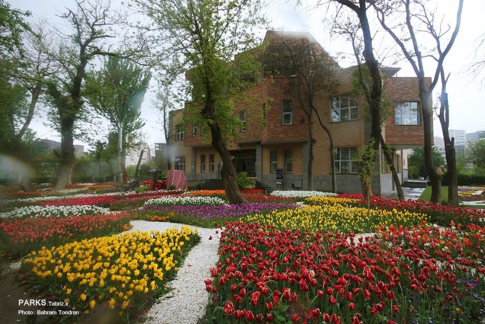 ستاد ساماندهی تبلیغات و فضای سبز شهری در تبریز راه اندازی می‌شود