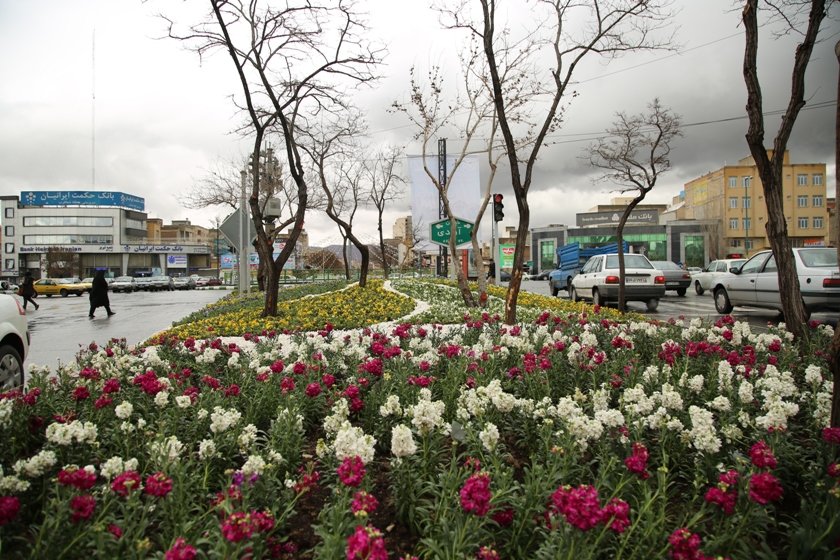 ایجاد فرش‌های گل و گل‌کاری‌های متنوع در حوزه شهرداری منطقه ۷ تبریز