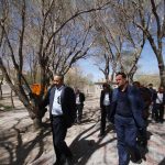 لزوم حفظ و صیانت از اصالت درختان باغ توت در احداث پارک جدید