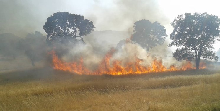۸۰ مورد آتش‌سوزی در مراتع و جنگل‌های آذربایجان‌شرقی