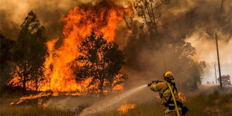 مسوولان در خصوص آتش‌سوزی جنگل‌های ارسباران در برابر افکار عمومی پاسخگو باشند