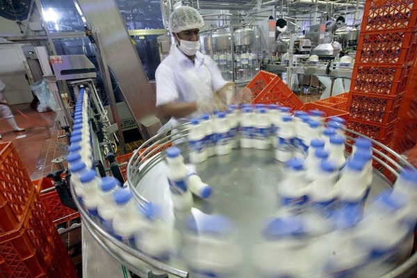 فعالیت ۱۰۹ واحد لبنی و فرآوری شیر با ظرفیت ۹۸۶ هزار تن در آذربایجان شرقی