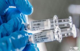 مراحل آزمایشگاهی واکسن ایرانی به تایید WHO رسیده است