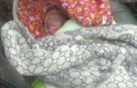 نوزاد رها شده در تبریز، تحت مراقبت‌ است