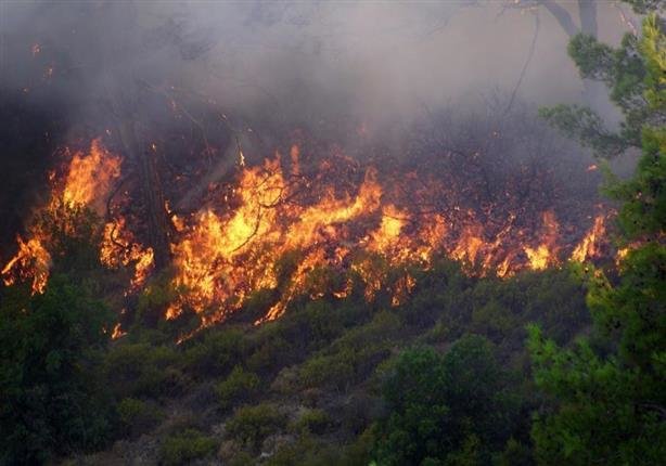 اطفا آتش‌سوزی منطقه کیامکی/ ۱۰ هکتار از پوشش گیاهی بکر
آذربایجان‌شرقی طعمه حریق شد